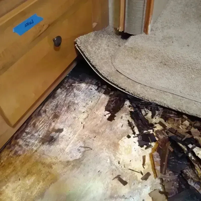 Best Wood Floor Water Damage Service in Mora County, NM